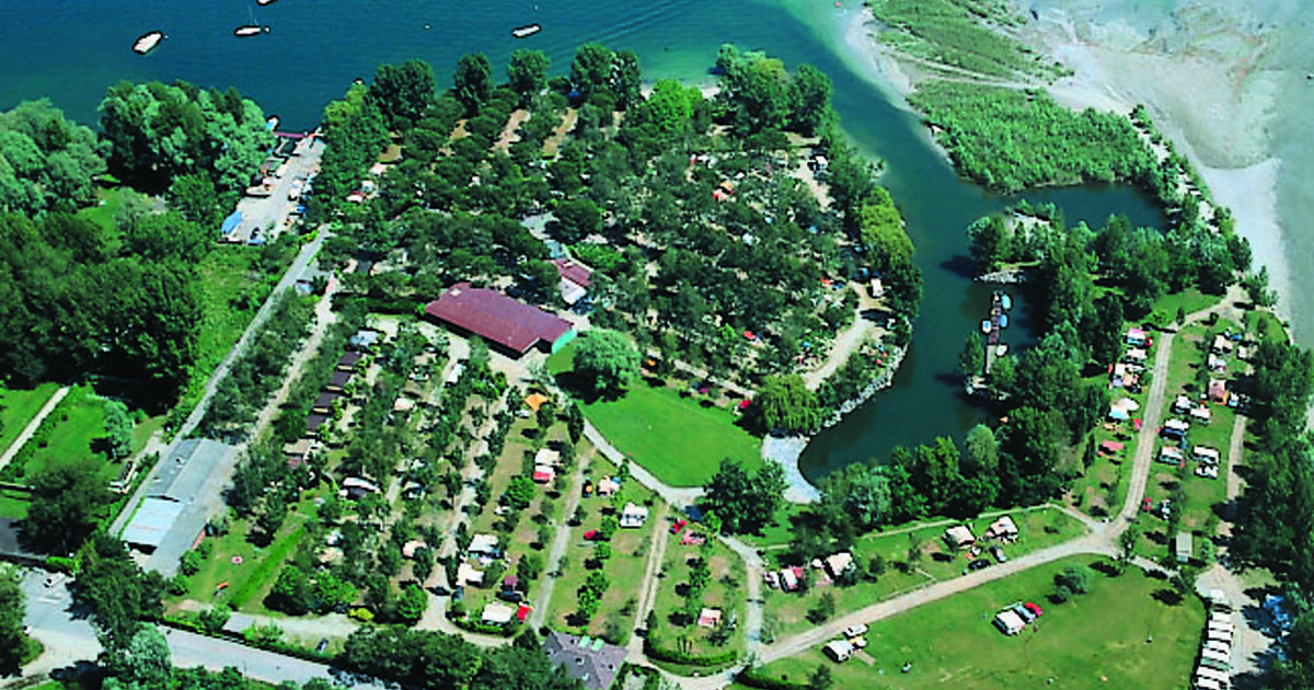 camp david hemden sale Camp David Herrenhemd in Wei, Gr. 40